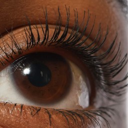 مسكارا ريفاي لاش الاسود REFY Lash Mascara