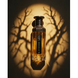 عطر أمجاد هونر من فان – 200 مل | للجنسين FAAN Amjad Honour Extrait de Parfum – 200ml –
