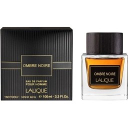 اومبري نوير لل رجال 100 مل - او دى بارفان Ombre Noir for Men 100ml - Eau de Parfum
