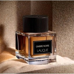 اومبري نوير لل رجال 100 مل - او دى بارفان Ombre Noir for Men 100ml - Eau de Parfum