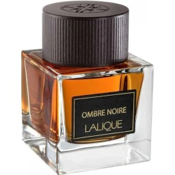 اومبري نوير لل رجال 100 مل - او دى بارفان Ombre Noir for Men 100ml - Eau de Parfum
