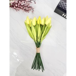 باقة ورد توليب Tulip flower