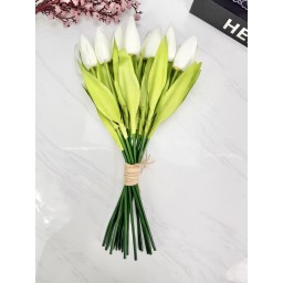 باقة ورد توليب Tulip flower