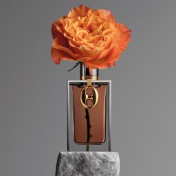 رابان روز 1969 – أو دو بارفيم – للجنسين Rabanne Rose 1969 – Eau de Parfum – Unisex