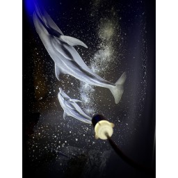 بروجكتر النجوم والمجرات LED مع 8 عدسات وبطاقات عرض USB LED Star & Galaxy Projector with 8 Lenses, Projection Cards & USB