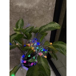 سلسلة اضاءة LED ديكورية Decorative LED string lights