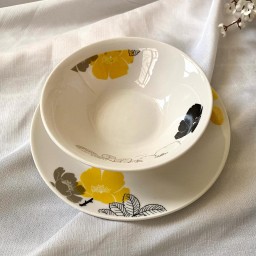 سيت صحون وكاسات Dinnerware set
