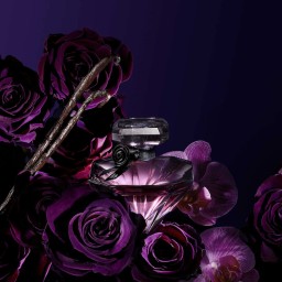 لانكوم لا نوي تريزور – أو دو بارفيم – للنساء Lancôme La Nuit Trésor – Eau de Parfum – For Women