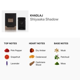 عطر شياكة شادو للجنسين 100مل Unisex Shiyaaka Shadow EDP