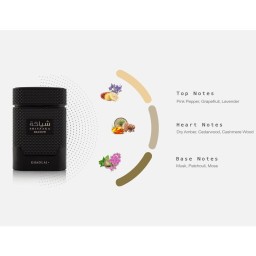 عطر شياكة شادو للجنسين 100مل Unisex Shiyaaka Shadow EDP