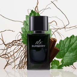 عطر بربري مستر بربري الفضي او دو بارفيوم 100مل Burberry Mr Burberry Eau de Parfum 100ml