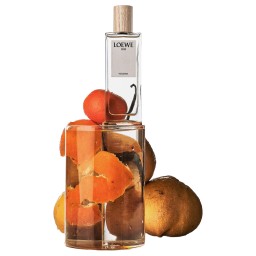 لويفي 001 وومن – أو دو بارفيم – للنساء Loewe 001 Woman – Eau de Parfum – For Women