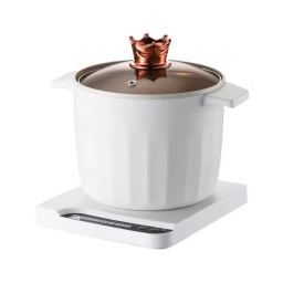 قدر كهربائي electric pot