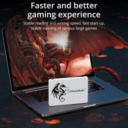 هارد داخلي عالي السرعة SomnAmbulist 256GB 2.5" internal SSD for Laptops & Desktops SomnAmbulist 256GB 2.5" internal SSD for Laptops & Desktops