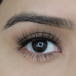 Big Fan Paparazzi 3D Faux Mink Eyelashes رموش صناعية