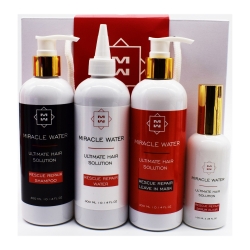 Ultimate Hair Solution Rescue Repair Set 4 Pcs سيت العناية بالشعر التالف