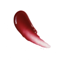احمر شفاه غلوس  Purseworthy Lipgloss with Glossy Finish
