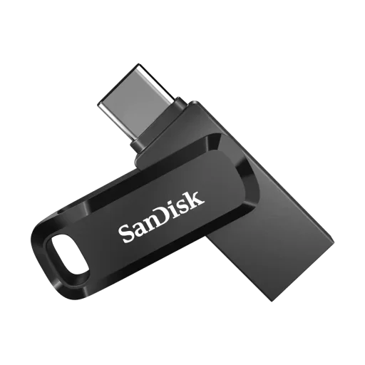 SanDisk SanDisk SDDDC3 256GB