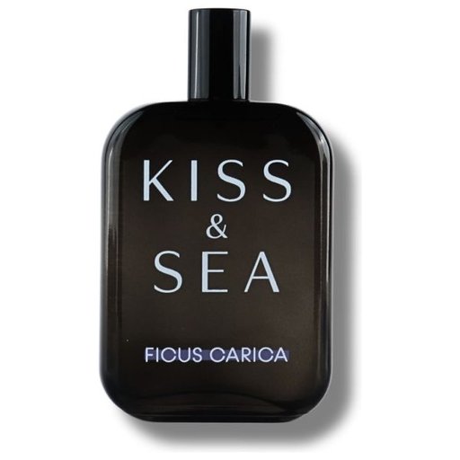 صمام كيس أند سي فيكس كاريكا Kiss And Sea Ficus Carica Samam