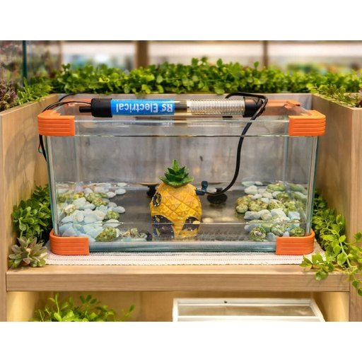 حوض سمك زينة ornamental fish tank
