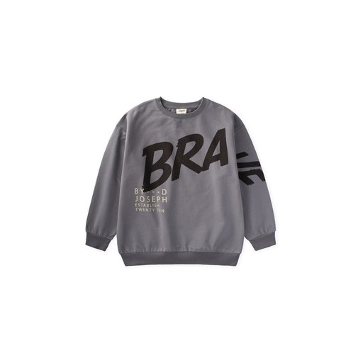 سويت شيرت شتوي للأولاد مطبوع - رمادي (8-12 سنة) Printed Boys' Winter Sweatshirt - Grey (Ages 8-12)