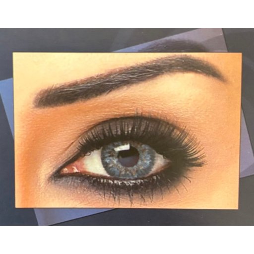 عدسات بيلا الشهيرة bella contact lenses contour Contour Blue