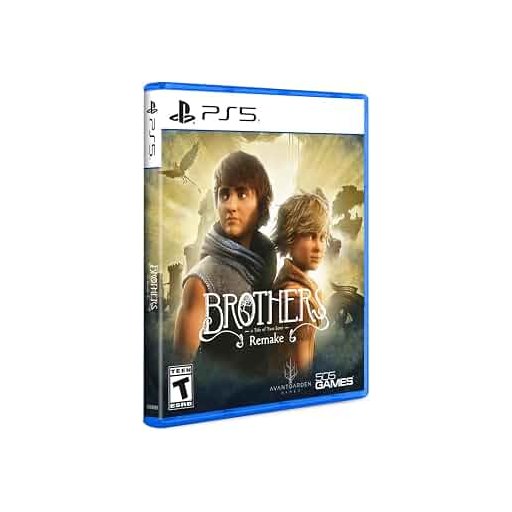 الاخوة: قصة الابنين Brothers: A Tale of Two Sons Remake