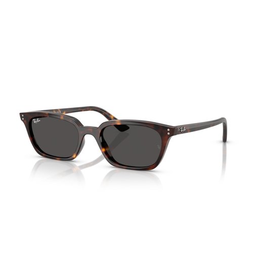 نظارات شمسية ريبان RAYBAN SUNGLASSES