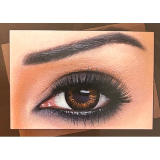 عدسات بيلا الشهيرة ثلج أبيض بني bella contact lenses contour Snow White Brown