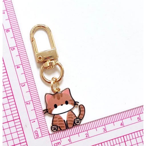 ميدالية قطة برتقالية Orange cat medal