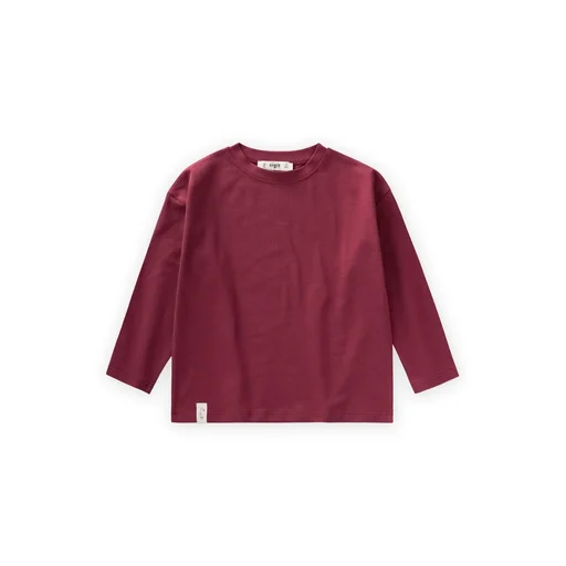 تي شيرت بيزك موسمي للأولاد 8-12 سنة - خمري Seasonal Basic T-Shirt for Boys 8-12 Years - Burgundy