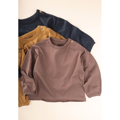 تي شيرت أطفال بأكمام طويلة بتصميم ريفي مصقول، لون فيزون، 1-7 سنوات Brushed Rustic Long Sleeve T-Shirt for Kids, Vizon Color, Ages 1-7