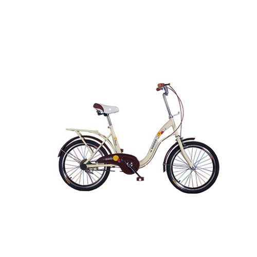 دراجة هوائية للاطفال حجم 20 Bicycle - 20 Inch (Dream)