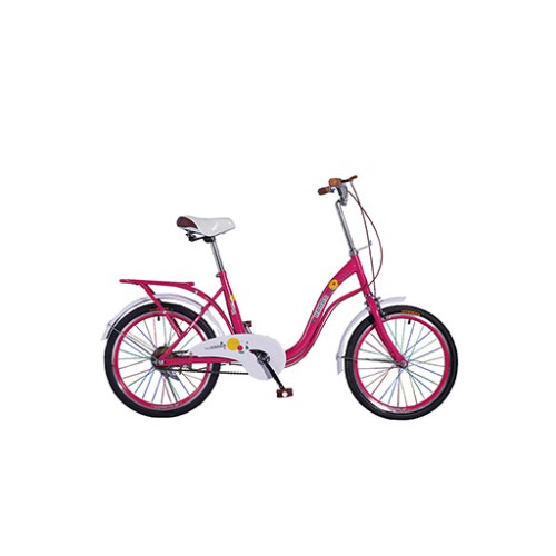 دراجة هوائية للاطفال حجم 20 Bicycle - 20 Inch (Dream)