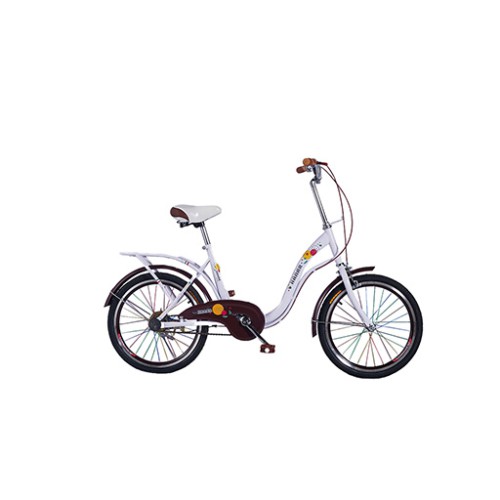 دراجة هوائية للاطفال حجم 20 Bicycle - 20 Inch (Dream)