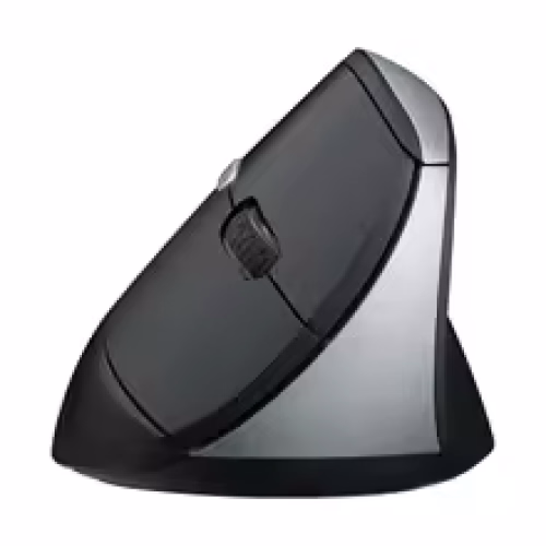 rapoo Rapoo MV20 Silent Vertical Wireless Mouse