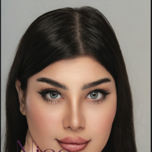 عدسات سلفر Silver lenses