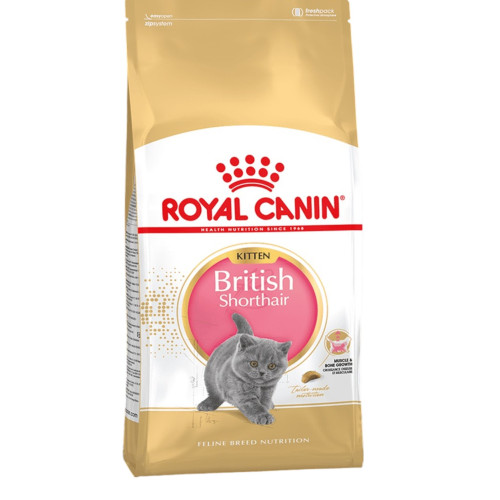 Royal Canin  بريتيش شورت هير کیتن Royal Canin British Shorthair Kitten