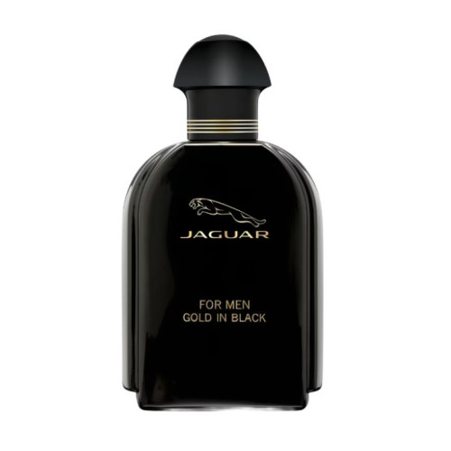 عطر غولد إن بلاك Eau de Toilette للرجال Gold in Black Eau de Toilette for Men