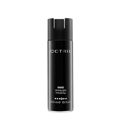سبراي تثبيت الشعر ويند سترونغ 300 مل Styling Wind Strong Hold Gas Hairspray 300 ml