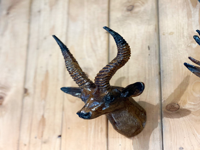 غزال جداري Wall deer