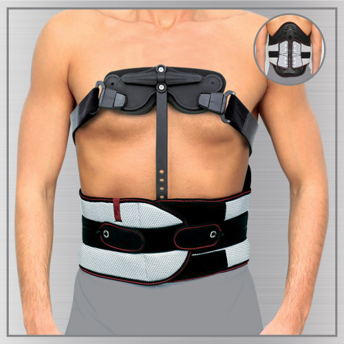 حزام ضهر + صدر ، مواصفات Back + chest belt, specifications