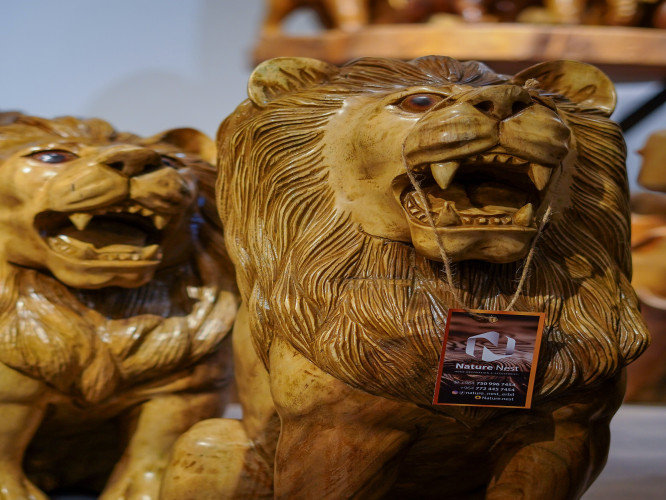 الاسد lion