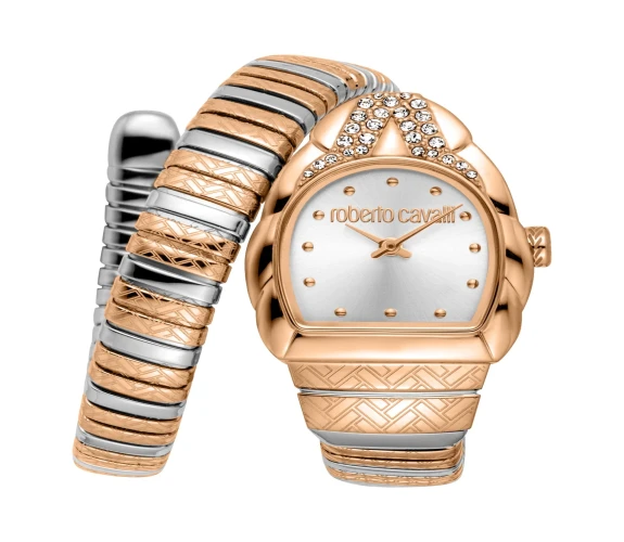 ساعة أورورا النسائية ثنائية اللون Women Aurora Two Tone Watch