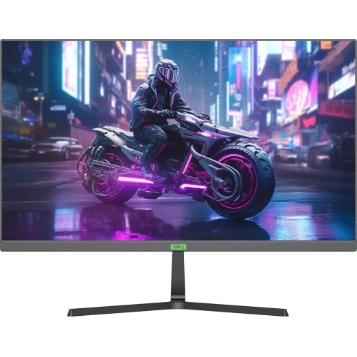nonbranded Nonbranded Elsa EA241s Pro