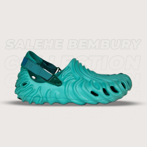 صاليحي بمبوري Salehe bembury