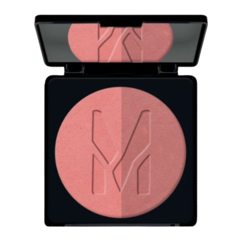 بلشر باودر Artist Powder Blush