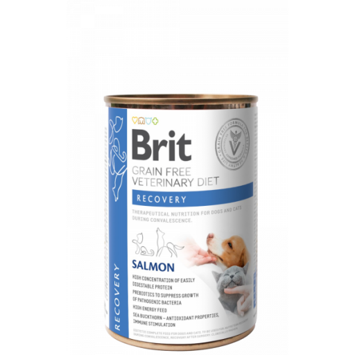Brit التعافي – سمك السلمون Brit Recovery – Salmon