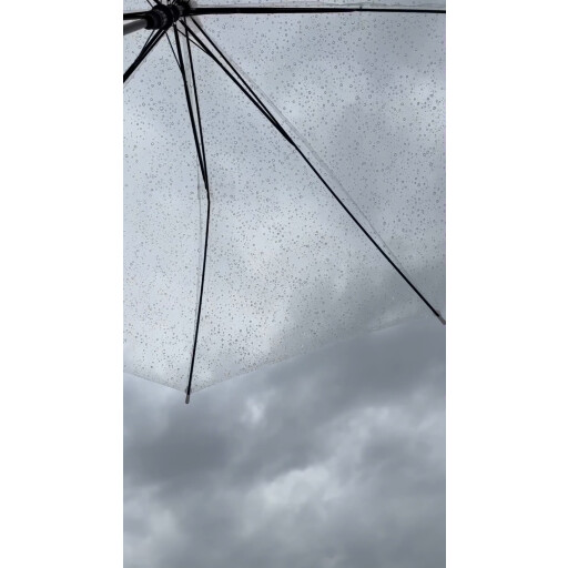 شمسية شفافة umbrella