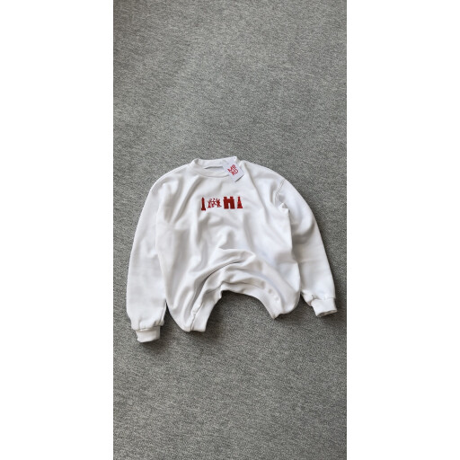 هودي Hoodie